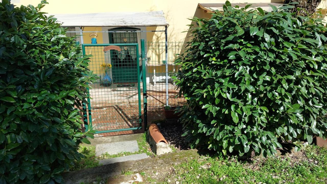 La Piccola Oasi Con Parcheggio Apartamento Florença Exterior foto